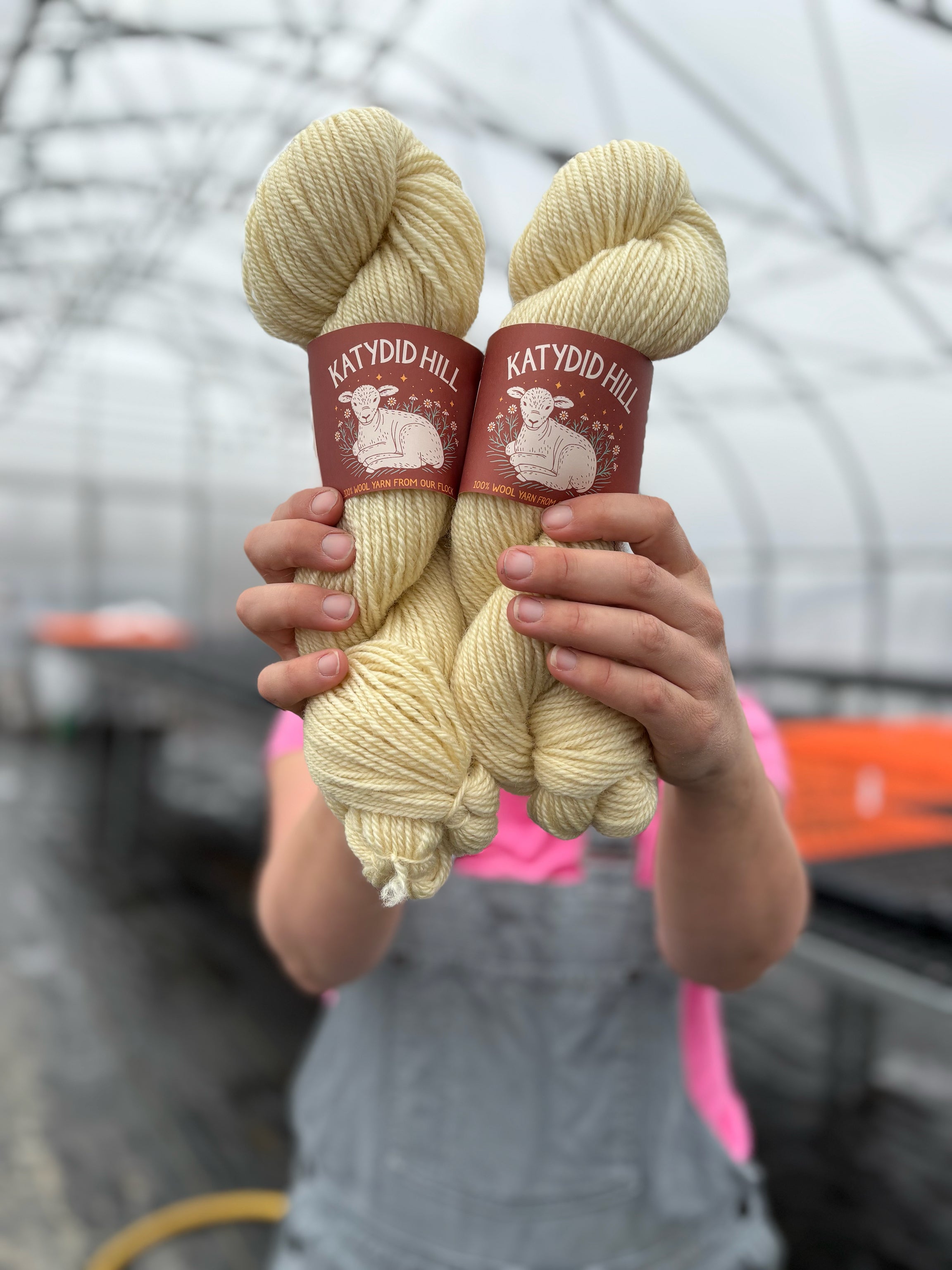 Wool Yarn - Romney Worsted, "Screams and Sugars"