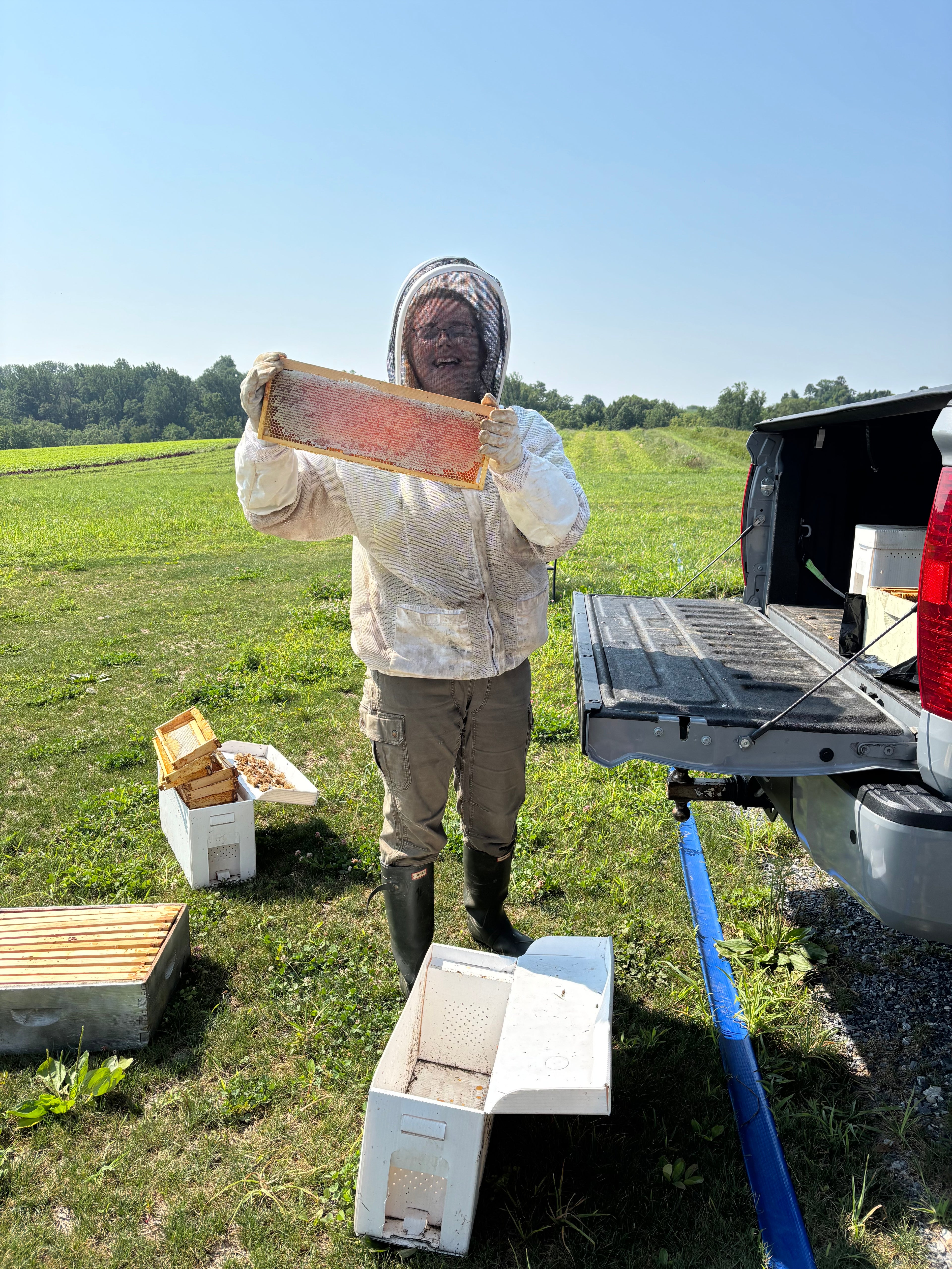 Raw Wildflower Honey, 8 oz