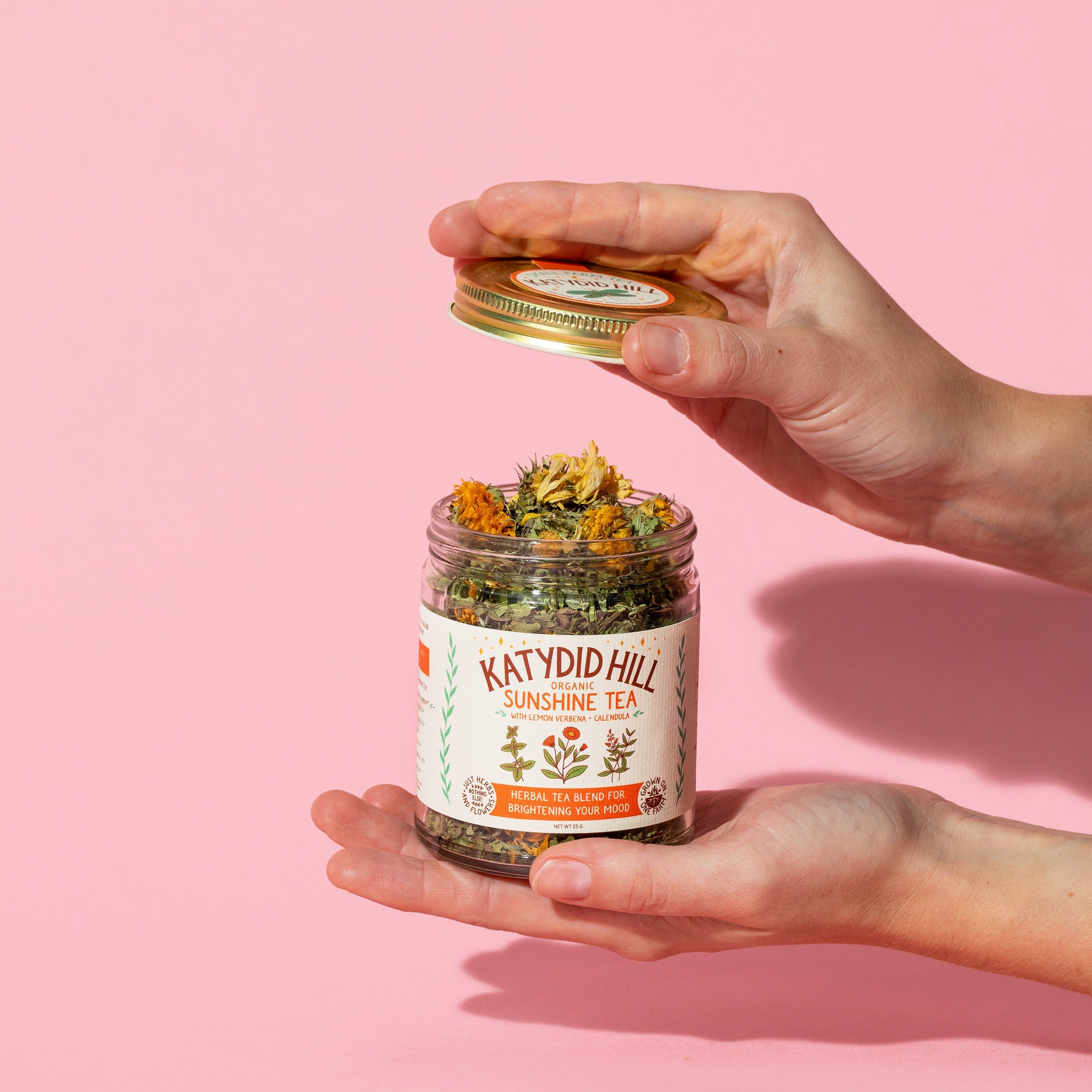 hands holding an open jar of sunshine tea on pink background