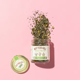 glass jar of garden mint loose leaf tea on to pink background.