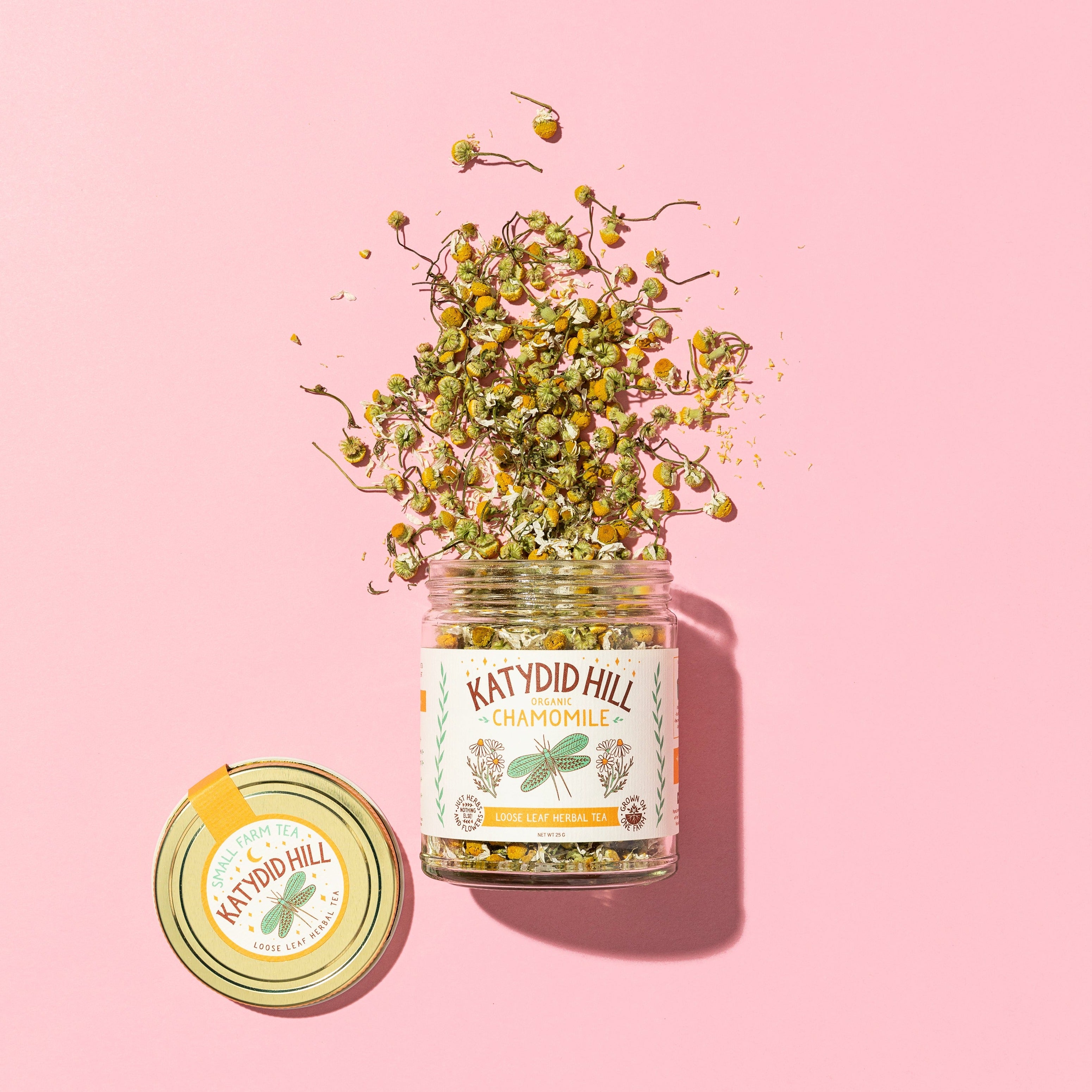 glass jar of chamomile loose leaf tea on to pink background.