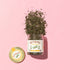 glass jar of lemon balm loose leaf tea  on to pink background.