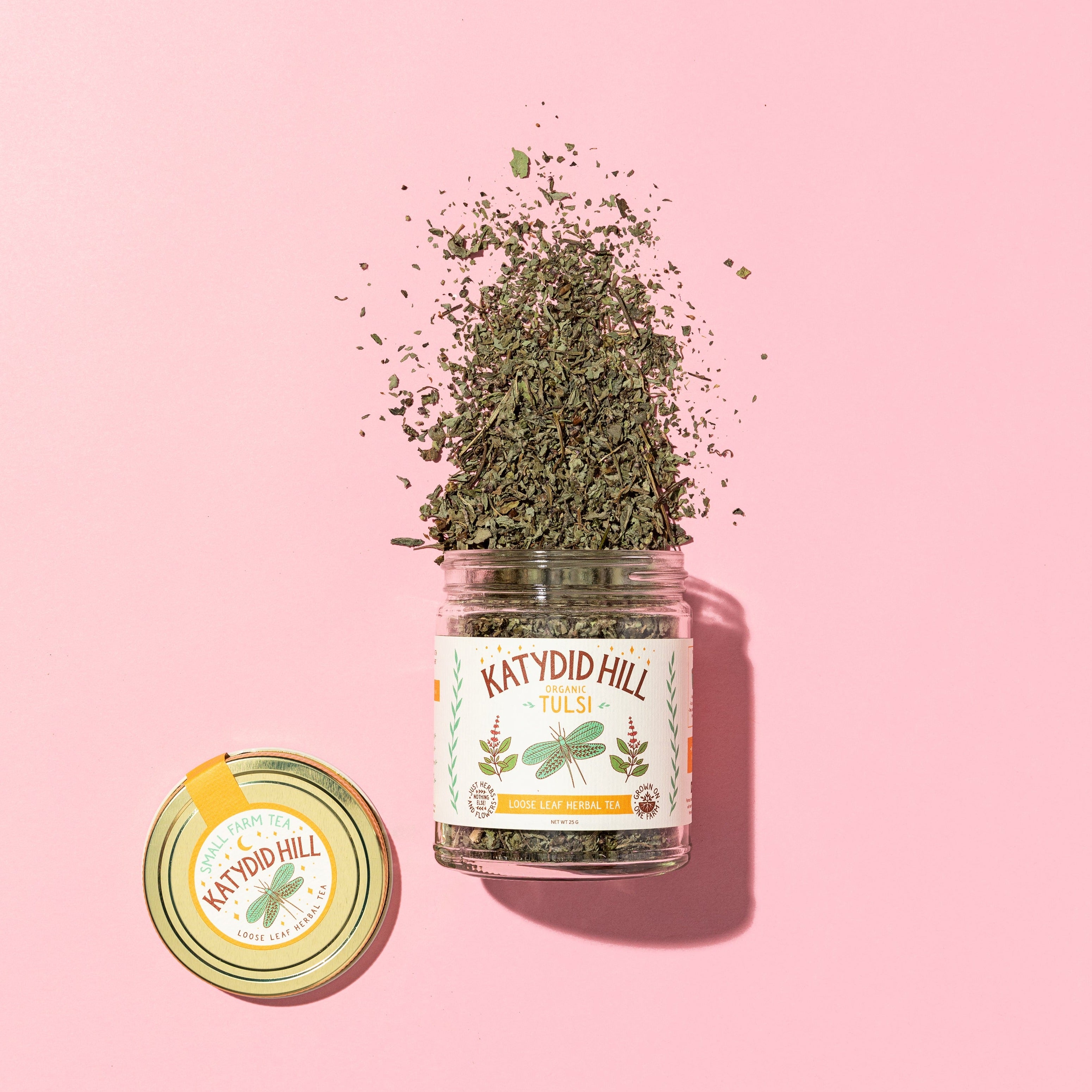 Tulsi Tea, Organic – Katydid Hill Farm