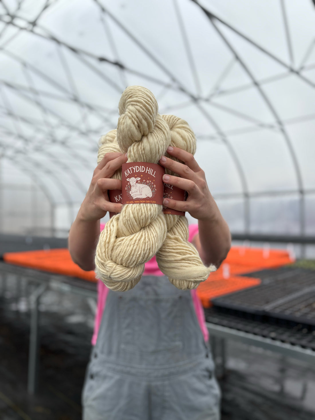 Lopi Romney Wool Yarn