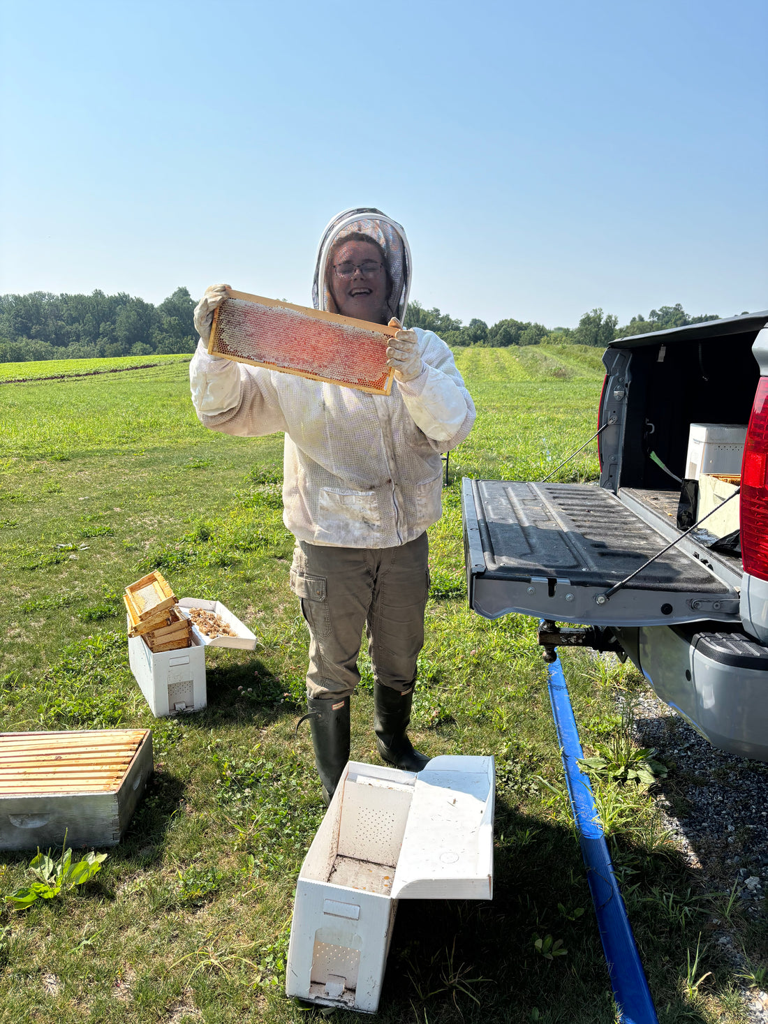 Raw Wildflower Honey, 8 oz
