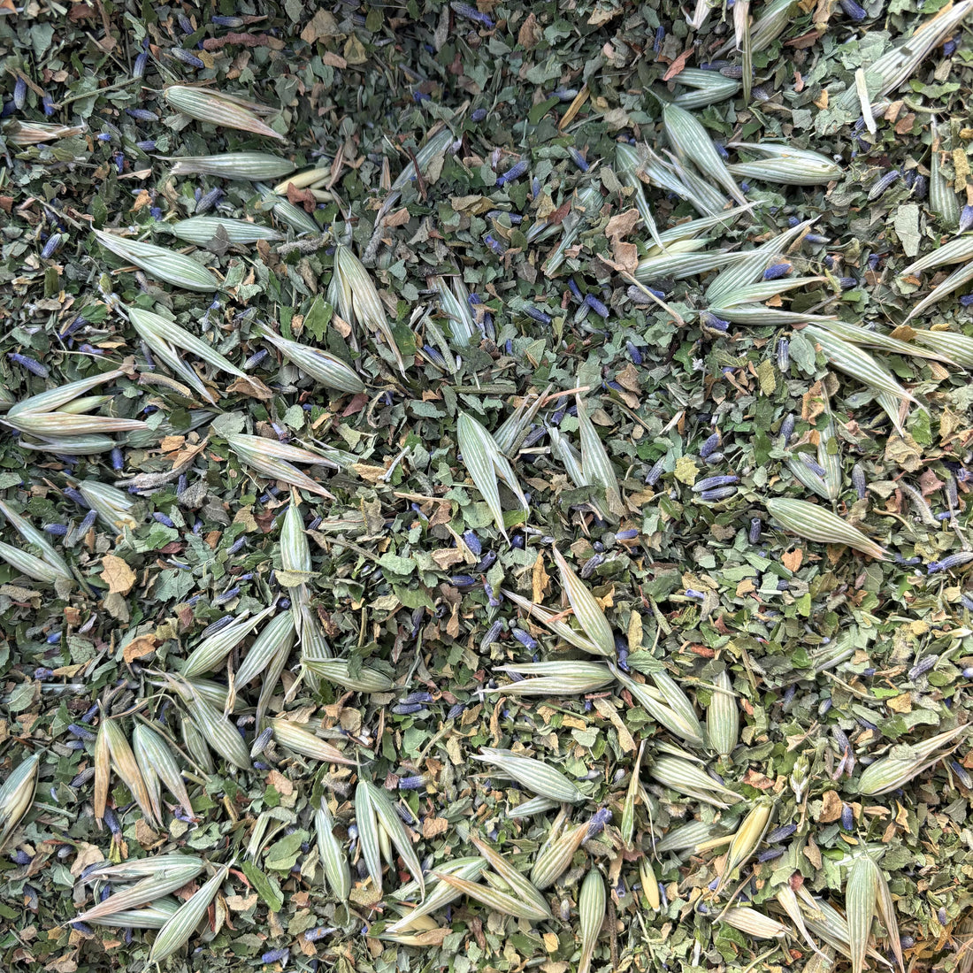 Close-up of loose leaf herbal tea with lavender, milky oats, rose geranium and lemon balm leaves