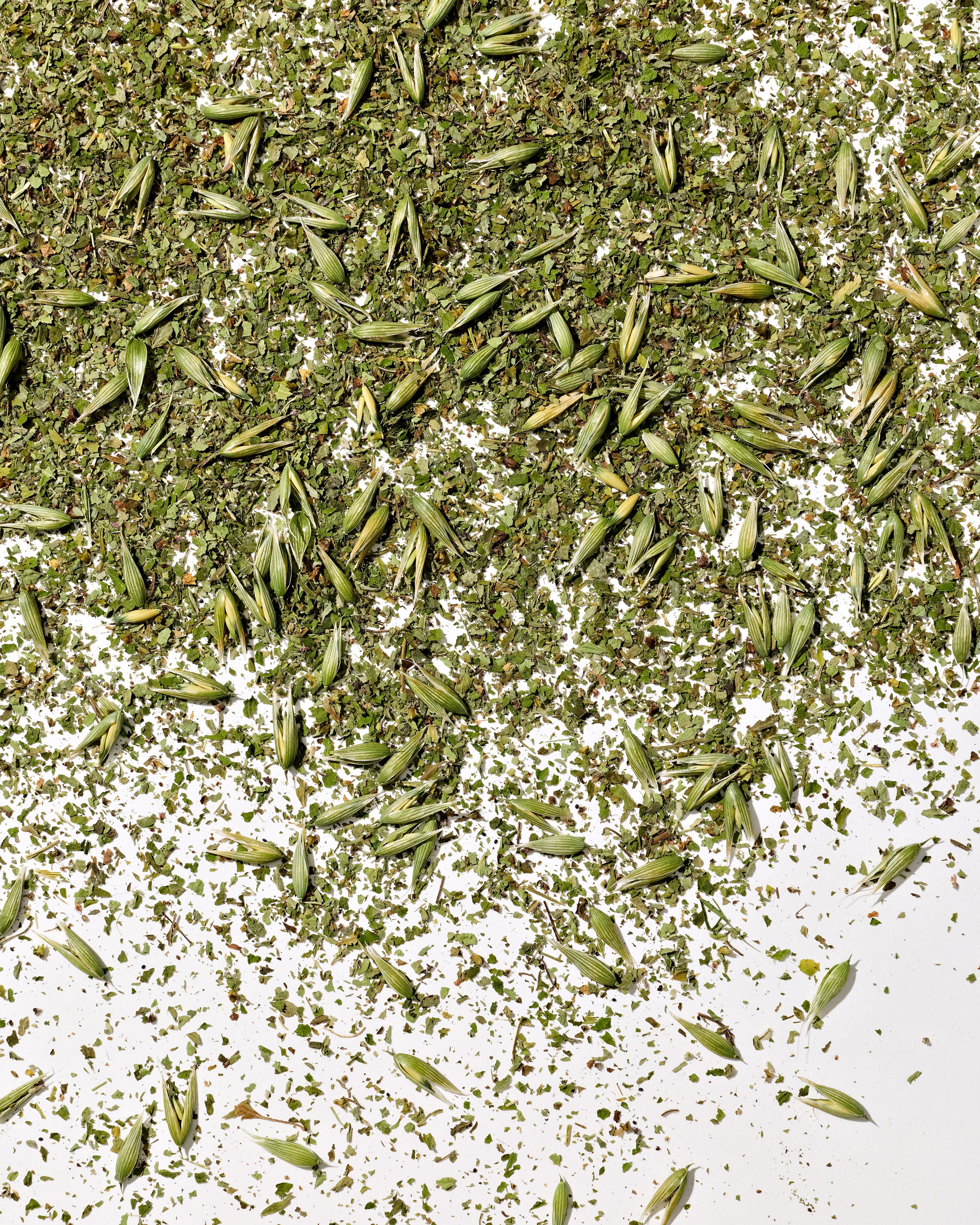 Abundance Tea, Organic
