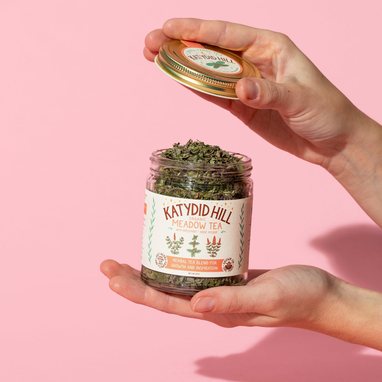 hands holding an open jar of meadow tea on pink background