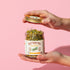hands holding a jar of chamomile loose leaf tea with jar open on pink background