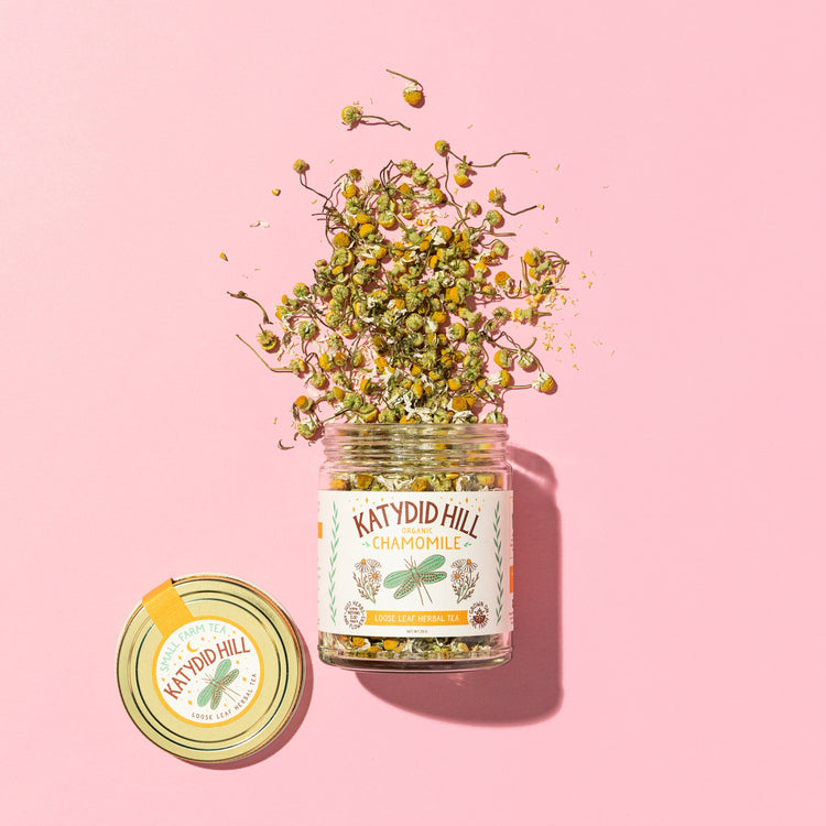 glass jar of chamomile loose leaf tea  on to pink background.