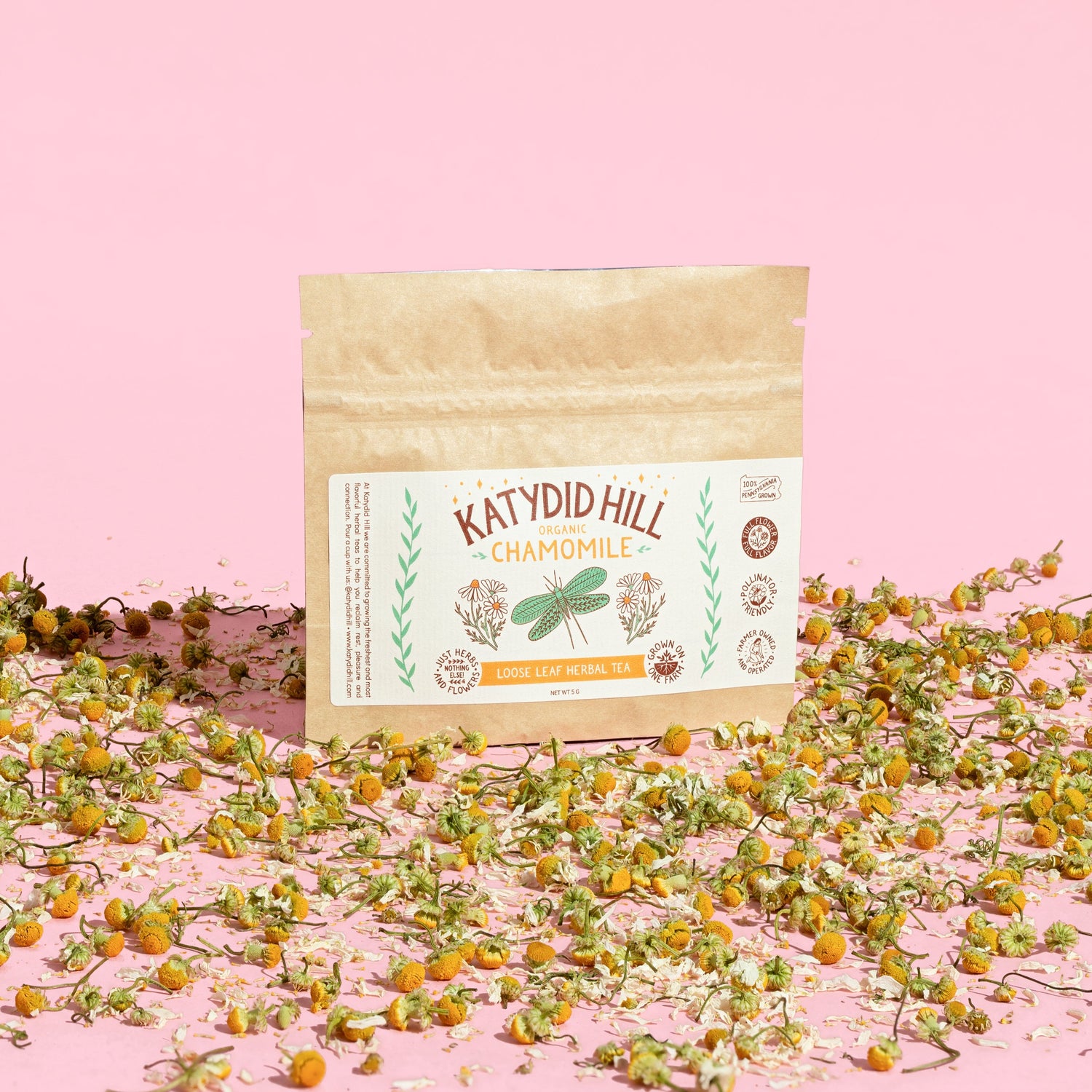 chamomile tea sample pack on pink background