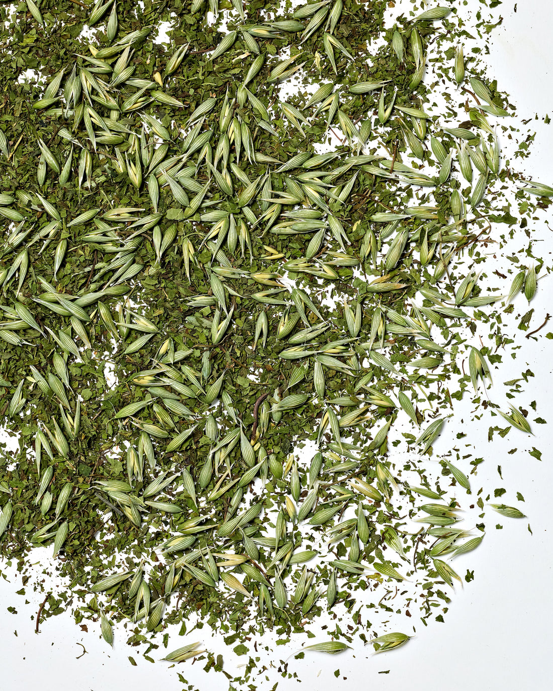 Closeup of witches tea herbal tea blend for conjuring. Herbal Tea blend for conjuring with milky oats and nettle.