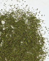 Organic loose leaf spearmint tea with notes of sweet and crisp mint