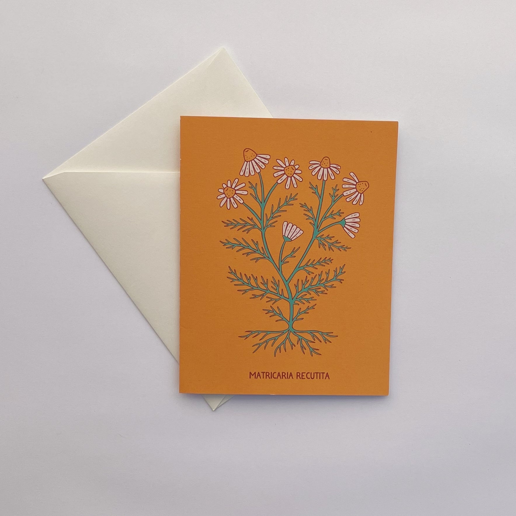 Katydid Hill Notecards