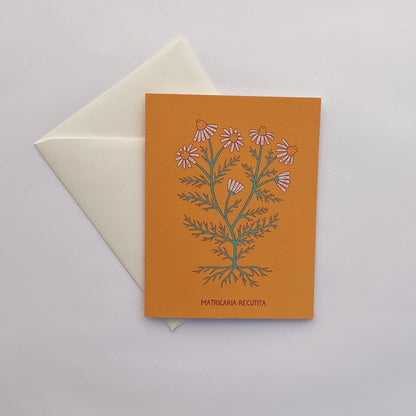Katydid Hill Notecards