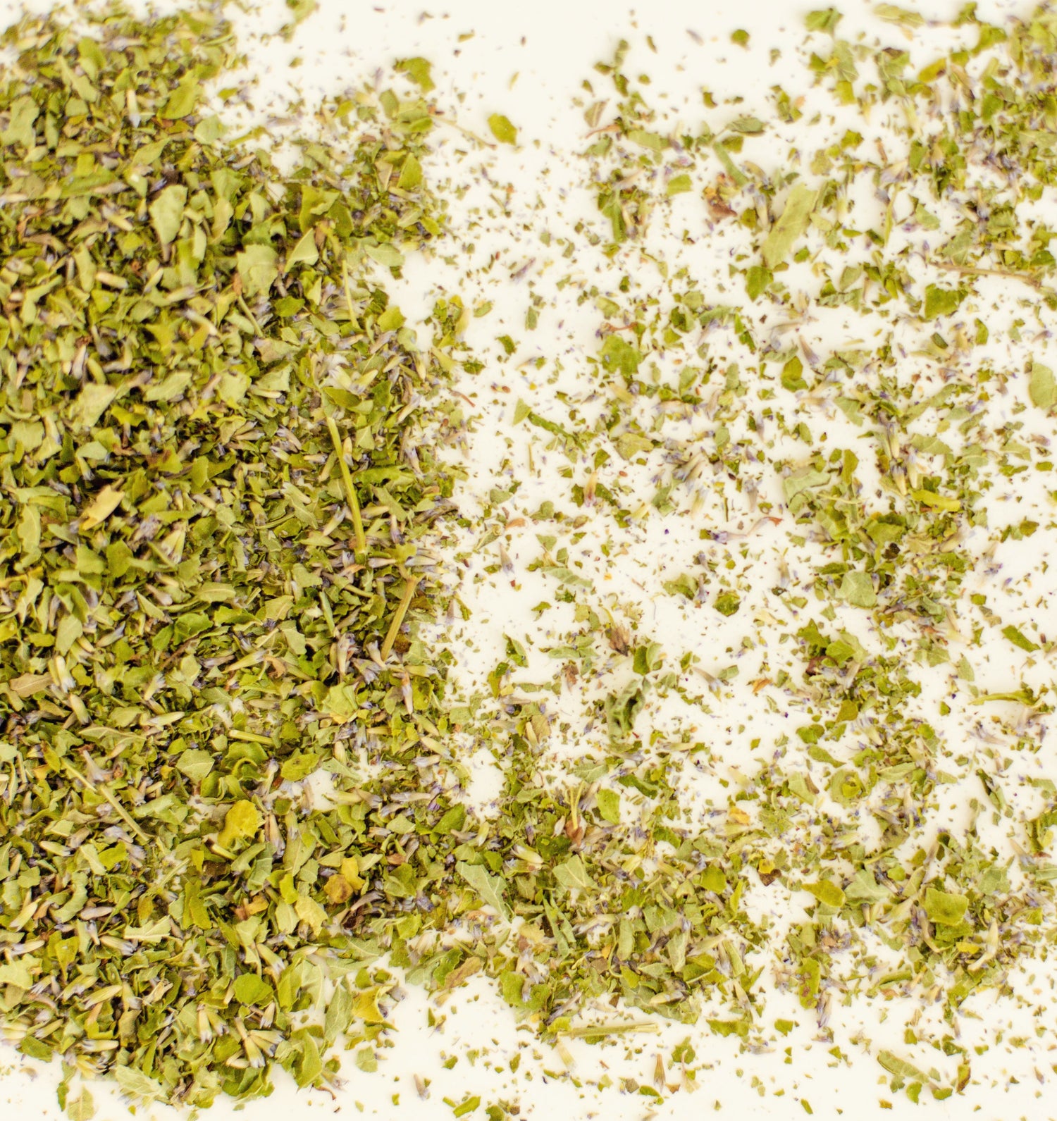 anise hyssop loose leaf tea bulk herb on white background