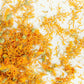 Calendula flowers loose leaf herb on white background